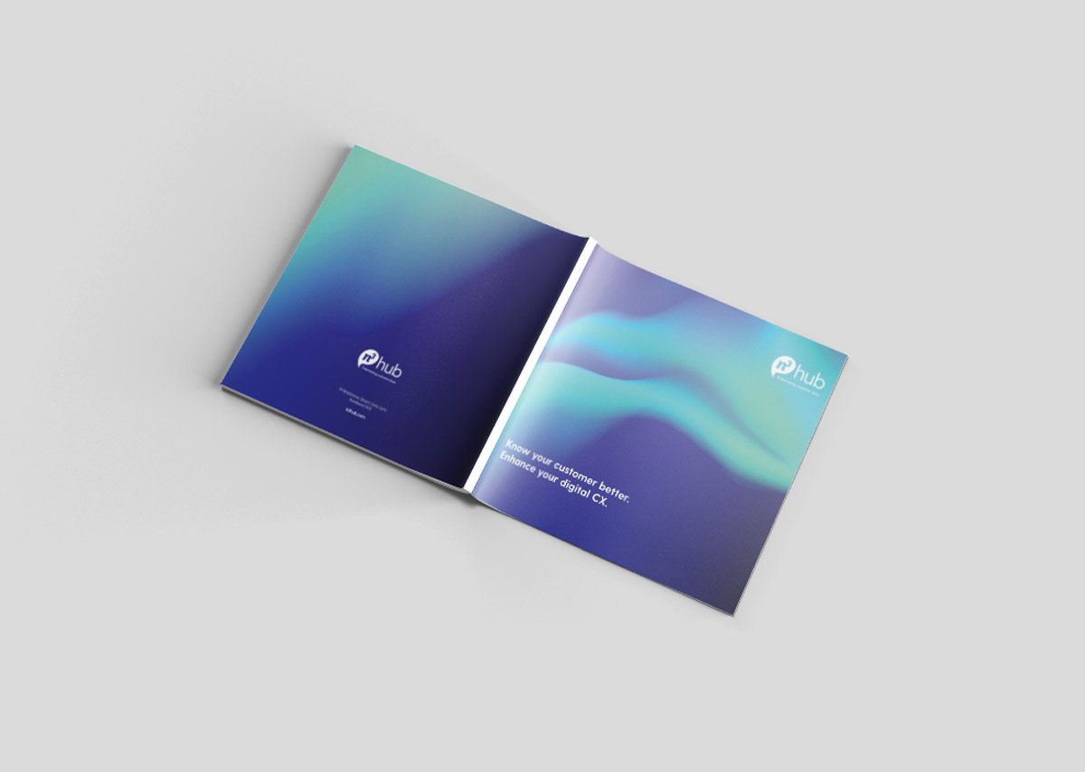 n3 hub – brochure design